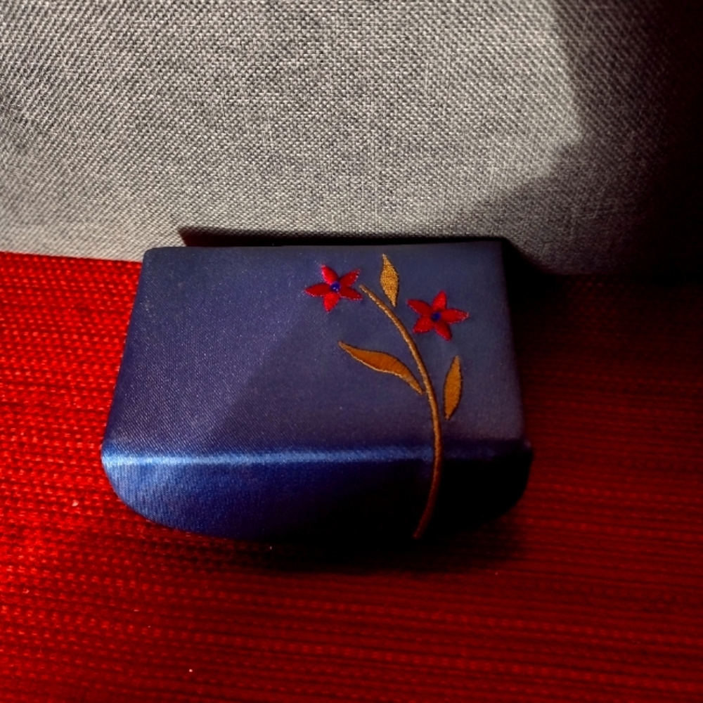 New lipstick Case from Avon